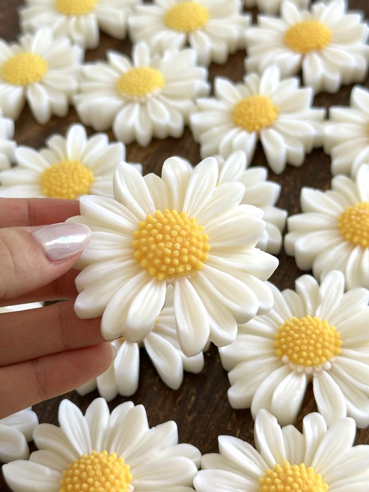 شمع گیفت بابونه 30 عددی